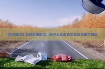 (我的路途) 我的道途漫漫，探寻心灵成长之旅的奥秘与困惑