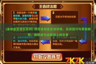 (全明星足球礼包码) 微信全明星足球攻略，实战技巧与策略解析，助你成为绿茵场上的王者