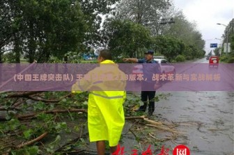 (中国王牌突击队) 王牌突击队233版本，战术革新与实战解析