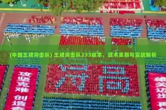 (中国王牌突击队) 王牌突击队233版本，战术革新与实战解析