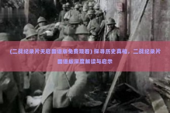 (二战纪录片天启国语版免费观看) 探寻历史真相，二战纪录片国语版深度解读与启示