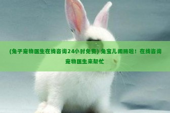 (兔子宠物医生在线咨询24小时免费) 兔宝儿闹腾啦！在线咨询宠物医生来帮忙